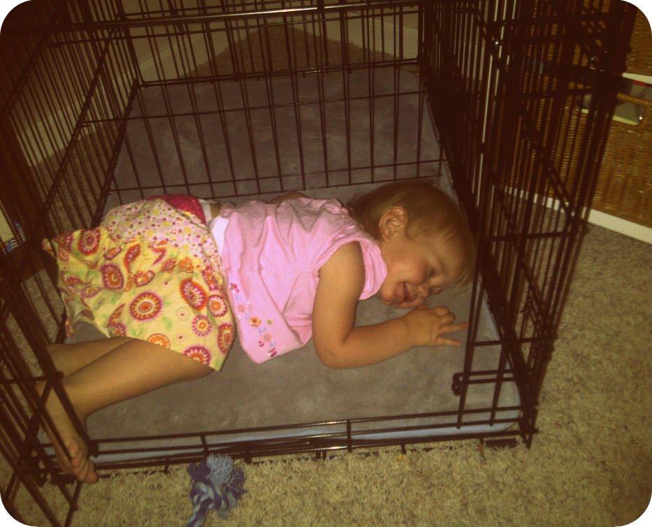 Dixon-20120620-00361