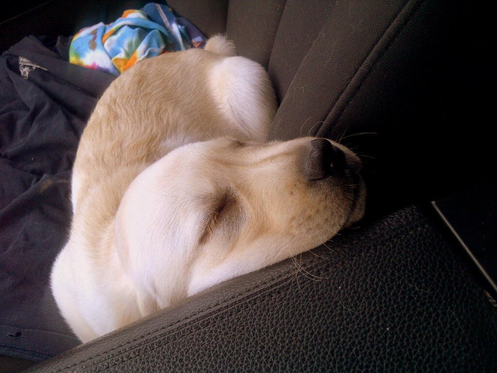 Dixon-20120622-00363