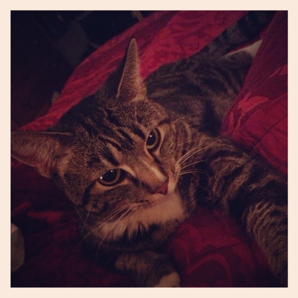 photo(22)