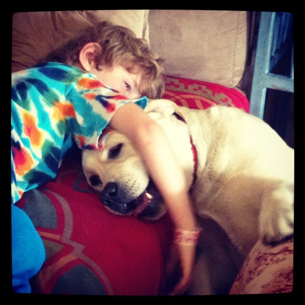 photo(26)