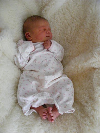Georgia angel