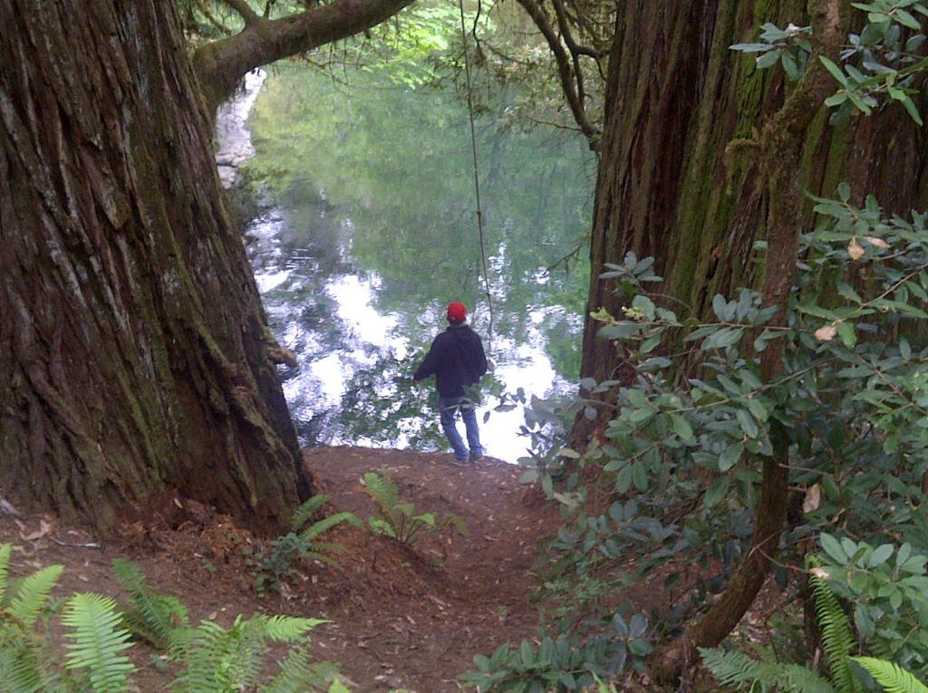 mac rope swing